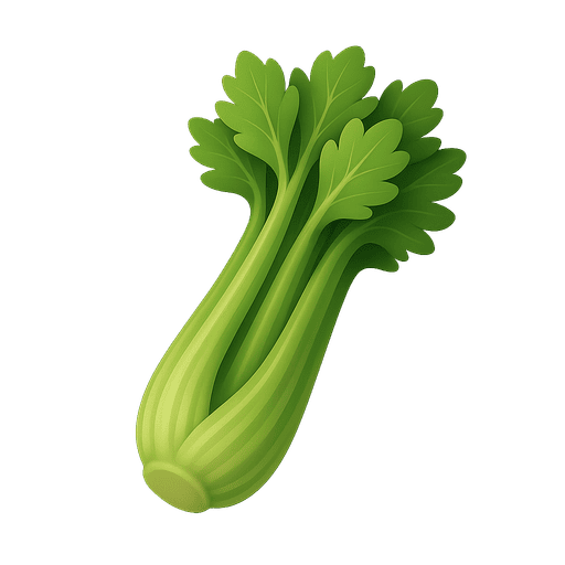 Celery