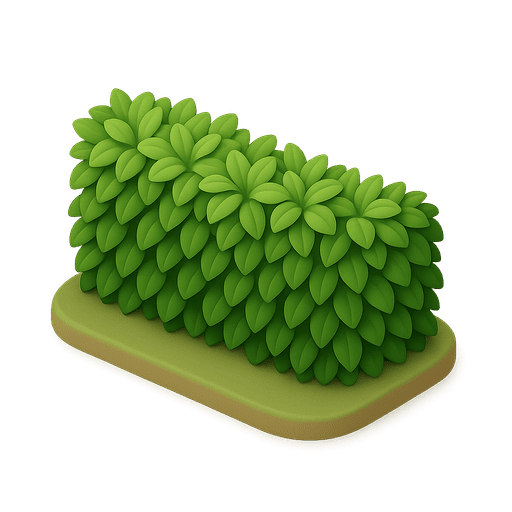 Hedge